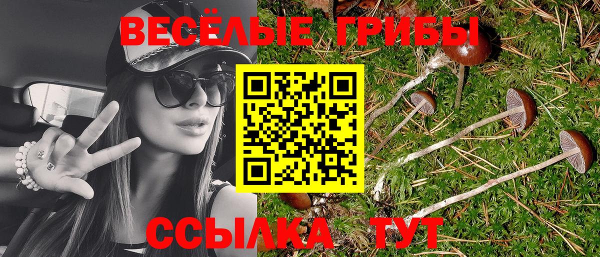 Псилоцибиновые грибы мухоморы  Вход с VPN  Новодвинск 