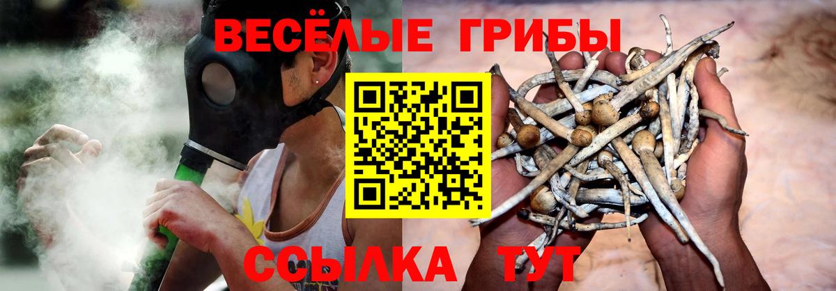 Псилоцибиновые грибы Psilocybe Новодвинск
